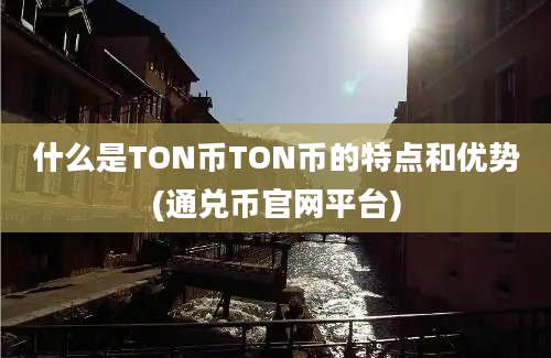 什么是TON币TON币的特点和优势(通兑币官网平台)