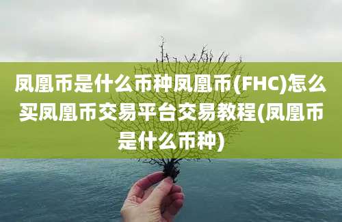 凤凰币是什么币种凤凰币(FHC)怎么买凤凰币交易平台交易教程(凤凰币是什么币种)