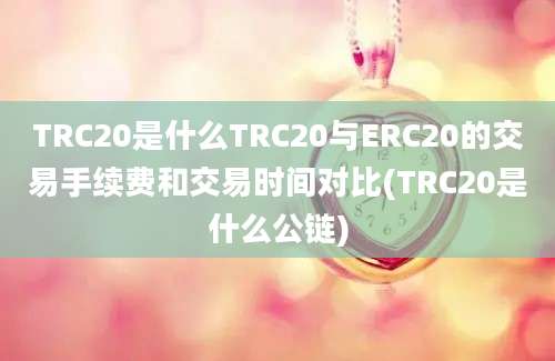 TRC20是什么TRC20与ERC20的交易手续费和交易时间对比(TRC20是什么公链)