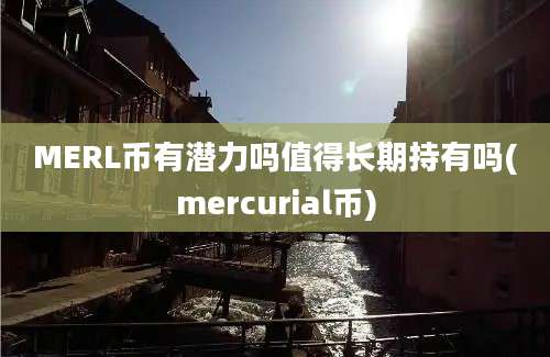 MERL币有潜力吗值得长期持有吗(mercurial币)