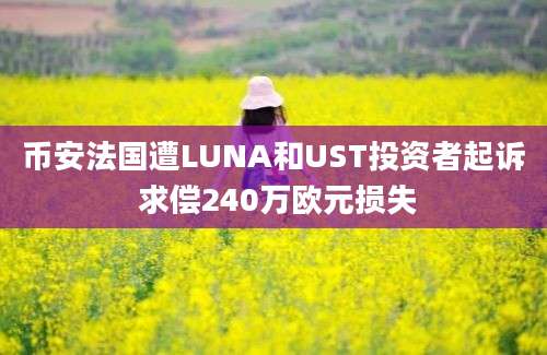 币安法国遭LUNA和UST投资者起诉 求偿240万欧元损失