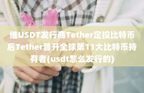 继USDT发行商Tether定投比特币后Tether晋升全球第11大比特币持有者(usdt怎么发行的)