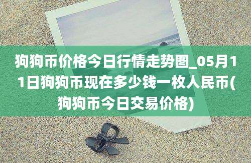 狗狗币价格今日行情走势图_05月11日狗狗币现在多少钱一枚人民币(狗狗币今日交易价格)