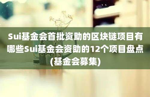 Sui基金会首批资助的区块链项目有哪些Sui基金会资助的12个项目盘点(基金会募集)