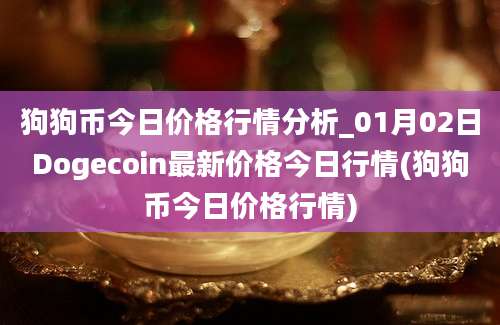 狗狗币今日价格行情分析_01月02日Dogecoin最新价格今日行情(狗狗币今日价格行情)