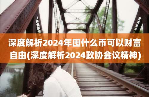 深度解析2024年囤什么币可以财富自由(深度解析2024政协会议精神)