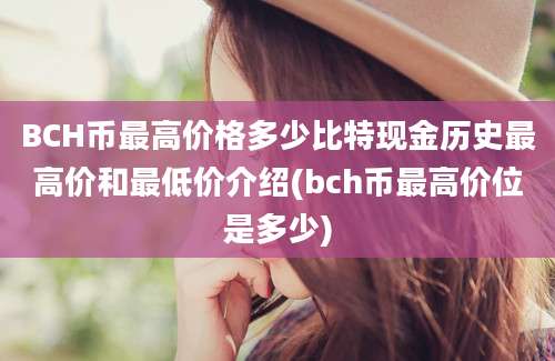 BCH币最高价格多少比特现金历史最高价和最低价介绍(bch币最高价位是多少)