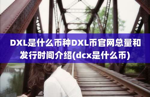 DXL是什么币种DXL币官网总量和发行时间介绍(dcx是什么币)