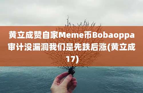 黄立成赞自家Meme币Bobaoppa审计没漏洞我们是先跌后涨(黄立成17)