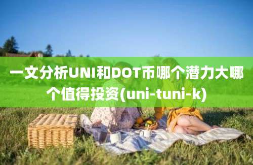 一文分析UNI和DOT币哪个潜力大哪个值得投资(uni-tuni-k)