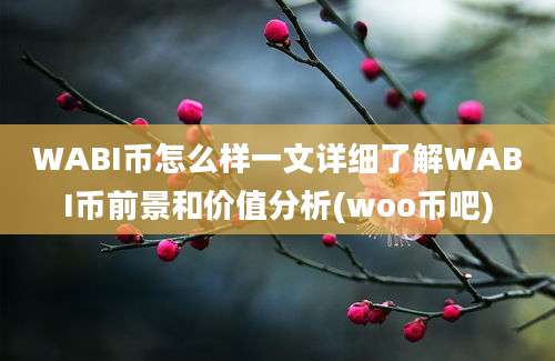 WABI币怎么样一文详细了解WABI币前景和价值分析(woo币吧)