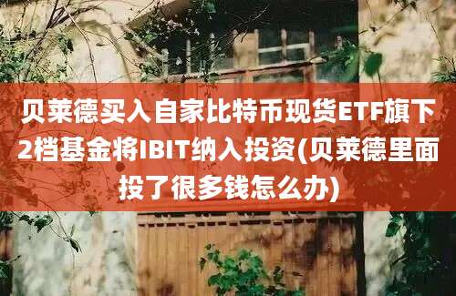 贝莱德买入自家比特币现货ETF旗下2档基金将IBIT纳入投资(贝莱德里面投了很多钱怎么办)