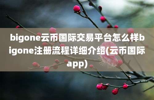 bigone云币国际交易平台怎么样bigone注册流程详细介绍(云币国际app)