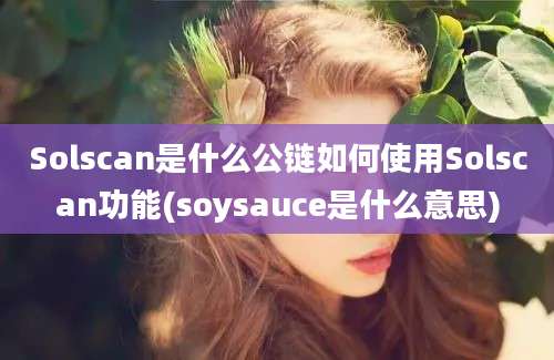 Solscan是什么公链如何使用Solscan功能(soysauce是什么意思)