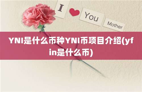 YNI是什么币种YNI币项目介绍(yfin是什么币)