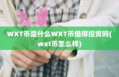 WXT币是什么WXT币值得投资吗(wxt币怎么样)