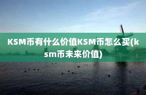 KSM币有什么价值KSM币怎么买(ksm币未来价值)