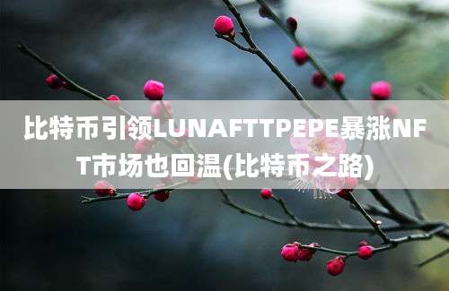 比特币引领LUNAFTTPEPE暴涨NFT市场也回温(比特币之路)