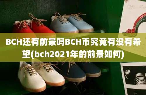 BCH还有前景吗BCH币究竟有没有希望(bch2021年的前景如何)