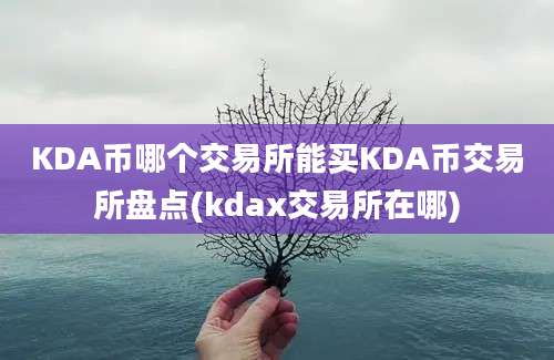 KDA币哪个交易所能买KDA币交易所盘点(kdax交易所在哪)