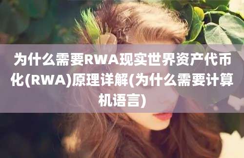 为什么需要RWA现实世界资产代币化(RWA)原理详解(为什么需要计算机语言)