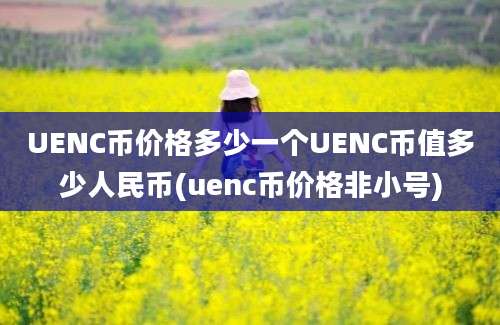 UENC币价格多少一个UENC币值多少人民币(uenc币价格非小号)