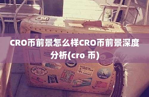 CRO币前景怎么样CRO币前景深度分析(cro 币)