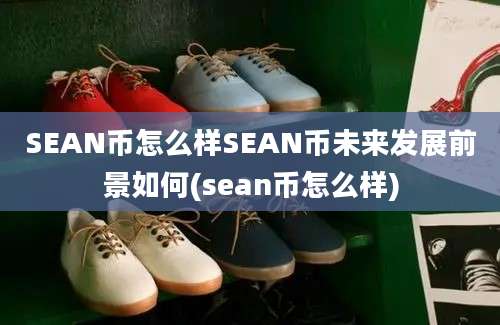 SEAN币怎么样SEAN币未来发展前景如何(sean币怎么样)