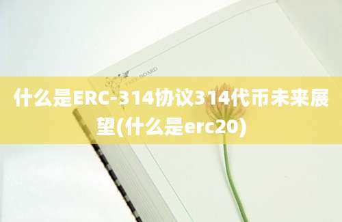 什么是ERC-314协议314代币未来展望(什么是erc20)