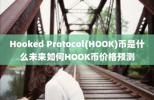 Hooked Protocol(HOOK)币是什么未来如何HOOK币价格预测