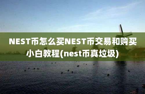 NEST币怎么买NEST币交易和购买小白教程(nest币真垃圾)