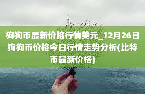 狗狗币最新价格行情美元_12月26日狗狗币价格今日行情走势分析(比特币最新价格)