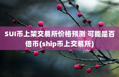 SUI币上架交易所价格预测 可能是百倍币(ship币上交易所)