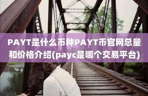 PAYT是什么币种PAYT币官网总量和价格介绍(payc是哪个交易平台)