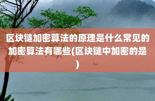 区块链加密算法的原理是什么常见的加密算法有哪些(区块链中加密的是)