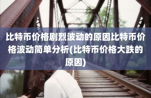 比特币价格剧烈波动的原因比特币价格波动简单分析(比特币价格大跌的原因)