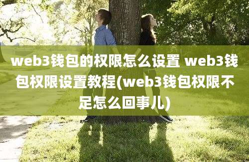 web3钱包的权限怎么设置 web3钱包权限设置教程(web3钱包权限不足怎么回事儿)