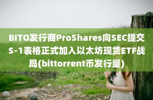 BITO发行商ProShares向SEC提交S-1表格正式加入以太坊现货ETF战局(bittorrent币发行量)