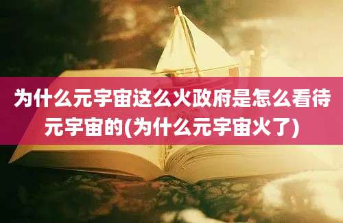 为什么元宇宙这么火政府是怎么看待元宇宙的(为什么元宇宙火了)