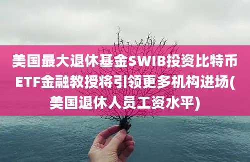 美国最大退休基金SWIB投资比特币ETF金融教授将引领更多机构进场(美国退休人员工资水平)