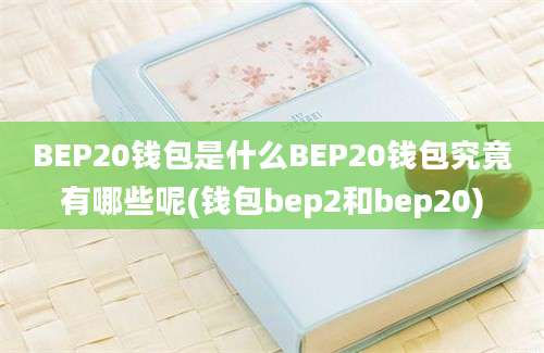 BEP20钱包是什么BEP20钱包究竟有哪些呢(钱包bep2和bep20)