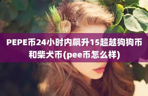 PEPE币24小时内飙升15超越狗狗币和柴犬币(pee币怎么样)