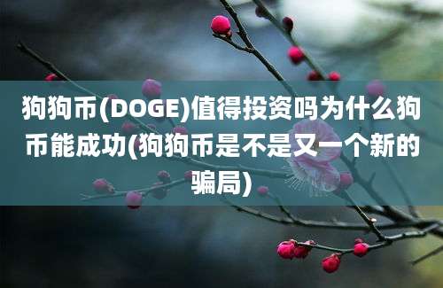 狗狗币(DOGE)值得投资吗为什么狗币能成功(狗狗币是不是又一个新的骗局)