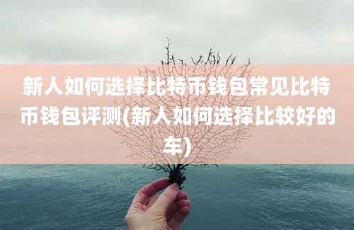 新人如何选择比特币钱包常见比特币钱包评测(新人如何选择比较好的车)