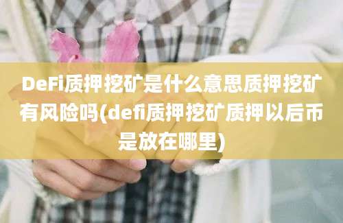 DeFi质押挖矿是什么意思质押挖矿有风险吗(defi质押挖矿质押以后币是放在哪里)