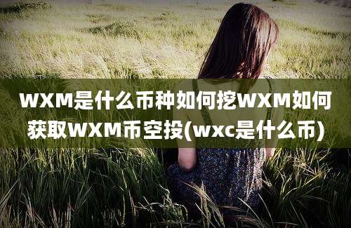 WXM是什么币种如何挖WXM如何获取WXM币空投(wxc是什么币)