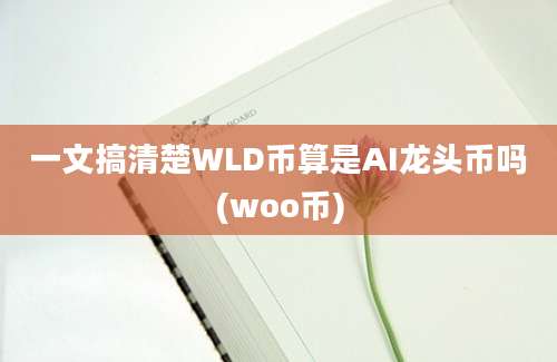 一文搞清楚WLD币算是AI龙头币吗(woo币)