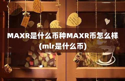 MAXR是什么币种MAXR币怎么样(mlr是什么币)