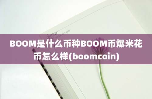 BOOM是什么币种BOOM币爆米花币怎么样(boomcoin)