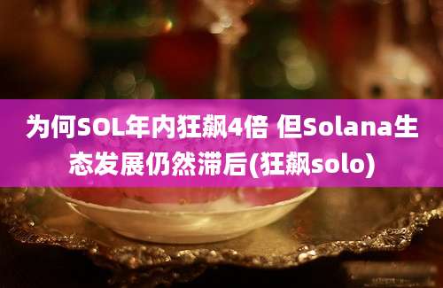 为何SOL年内狂飙4倍 但Solana生态发展仍然滞后(狂飙solo)